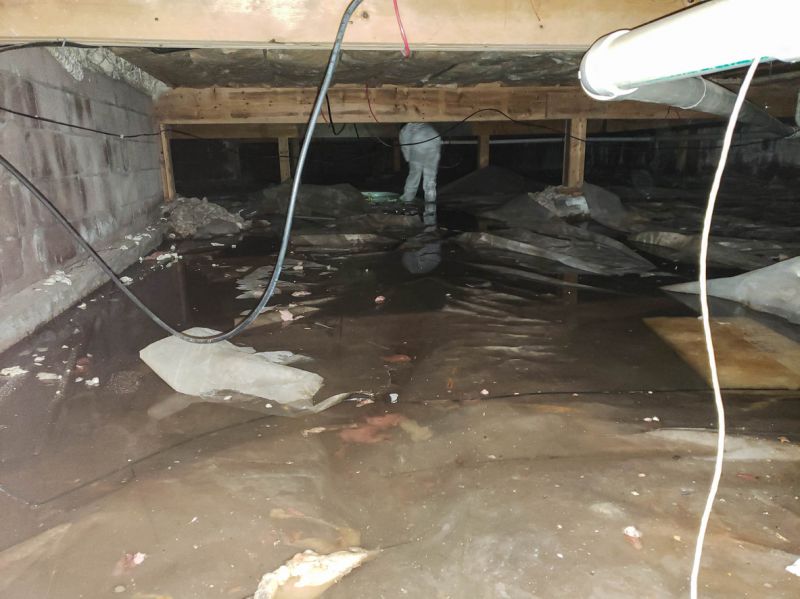 Clean and Sealed Crawlspace Interior